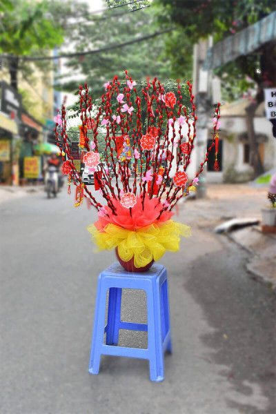 Bình nụ tầm xuân đỏ 9 1