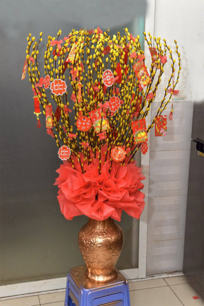 bình nụ tầm xuân 15 1