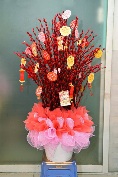 bình nụ tầm xuân 14 1