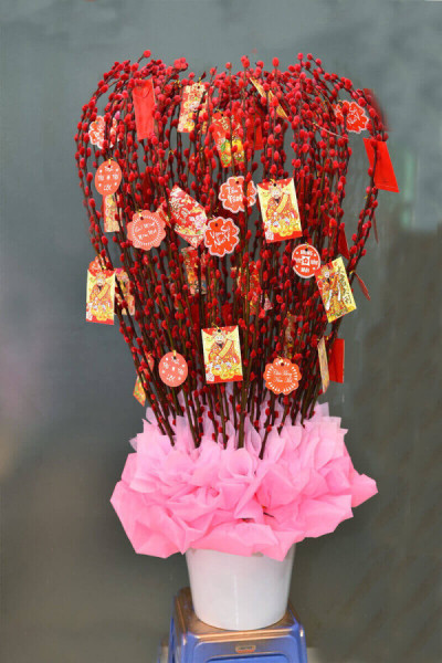 bình nụ tầm xuân 13 1