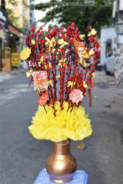 bình nụ tầm xuân 10 1