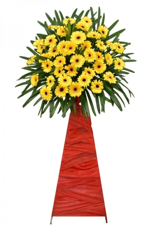 Kệ Hoa Đồng Tiền Vàng