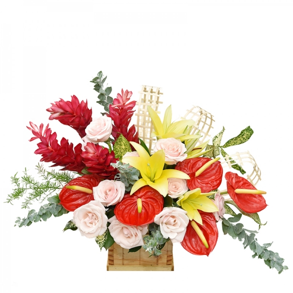 Phúc Hồng Ly 1