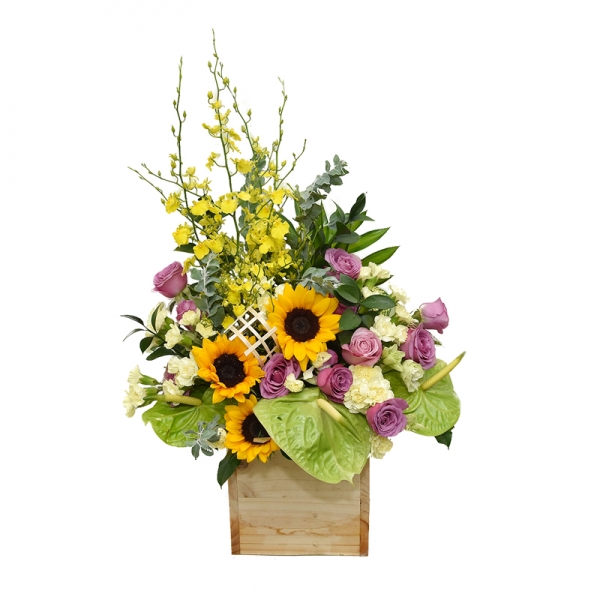 Sắc Màu Thành Công 1