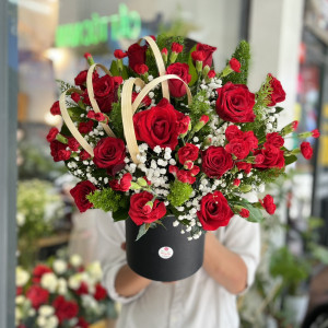 Hồng Đỏ Cẩm Chướng