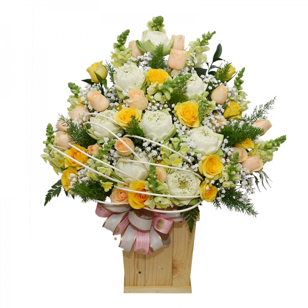 Nắng Dịu Dàng 1