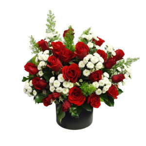 Hồng Đỏ Cúc Calimero Trắng