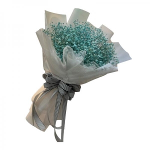 Bó hoa baby xanh  tặng sinh nhật bạn trai