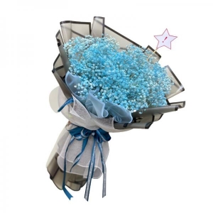 Bó Baby Xanh- Baby Hà Lan Nhập- Tặng Sinh Nhật Phái Nam