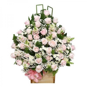 Hộp hoa hồng pastel mix hoa baby tặng sinh nhật bạn trai