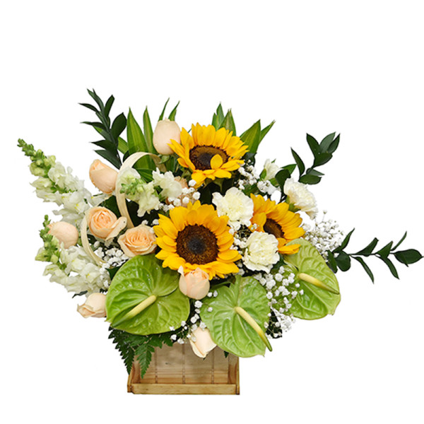 Vũ Điệu Thành Công 1