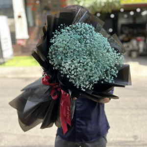 Bó Baby Xanh tặng sinh nhật bạn gái