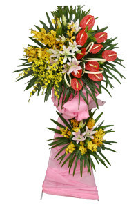 Hoa lan Vũ Nữ là loại hoa đẹp và quý giá, mang lại cảm giác mộc mạc và thanh tú cho không gian. Bạn sẽ tìm thấy những hình ảnh tuyệt đẹp về Hoa lan Vũ Nữ tại đây.