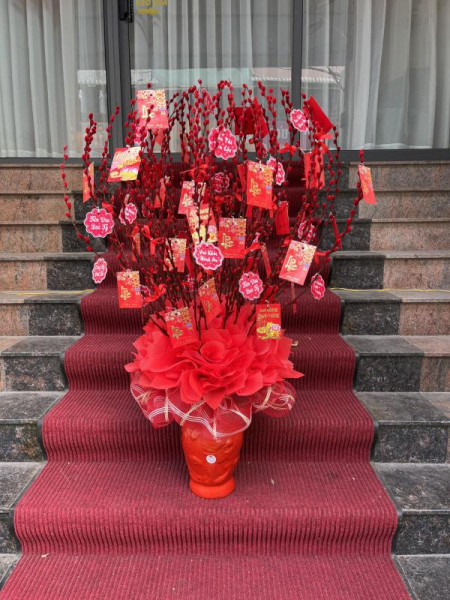 Hoa tết - Bình hoa nụ tầm xuân đỏ 60 cành 2