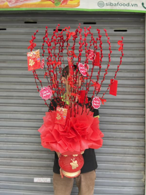 Hoa tết - Bình hoa nụ tầm xuân 30 cành