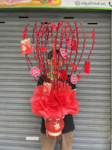 Hoa tết - Bình hoa nụ tầm xuân 30 cành