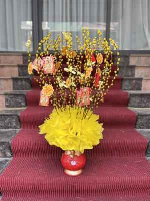 Bình hoa nụ tầm xuân vàng 30 cành - hoa tết