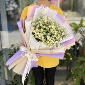 Bó hoa cúc tana tặng sinh nhật ý nghĩa