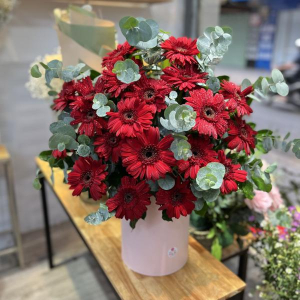 Hộp hoa đồng tiền mix lá bạc tặng chúc mừng ý nghĩa