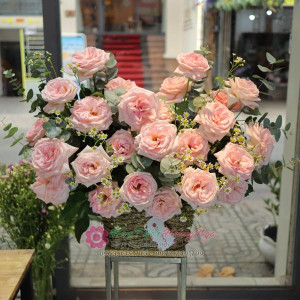 Giỏ hoa hồng đỏ Ohara mix cúc tana tặng chúc mừng sinh nhật sang trọng