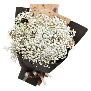 Bất kỳ ai yêu thích hoa baby đều sẽ yêu thích bó hoa baby trắng thanh lịch này. Chiếc bó hoa này pha trộn giữa các loại hoa nhỏ và mềm mại để tạo thành một tác phẩm hoàn hảo. Hãy xem bức ảnh và cảm nhận sự tươi mới và độc đáo của bó hoa baby trắng này.