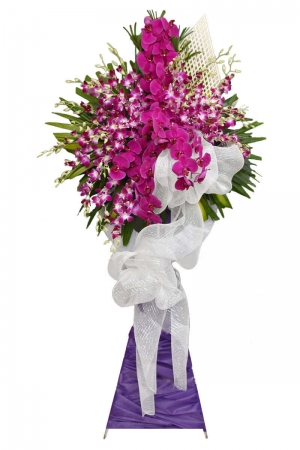 Kệ Chia Buồn Lan Tím