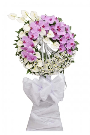 Kệ Chia Buồn Hồng Môn Trắng