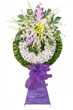 Kệ Chia Buồn Lan Trắng Ly Vàng