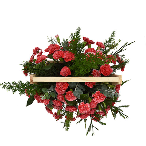 Không Bao Giờ Quên Em 1