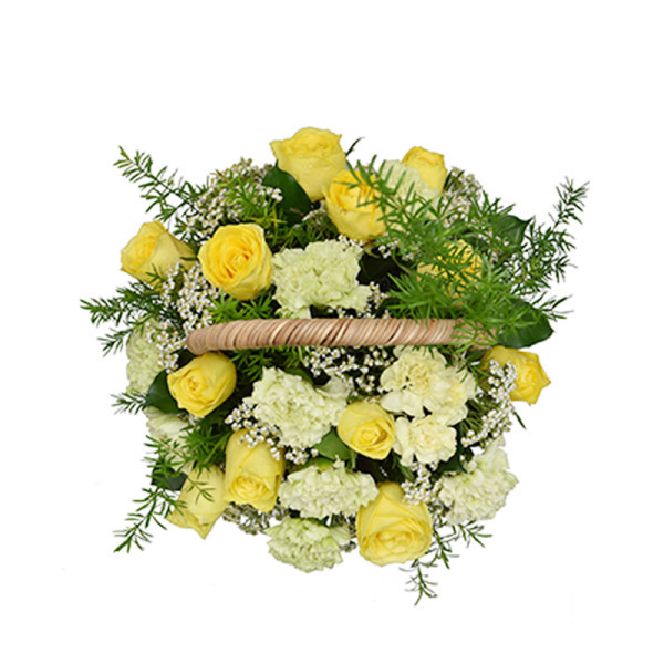 Hồng Phúc Vàng 1