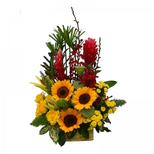 Hướng Dương Hạnh Phúc