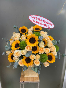 Hộp Hoa Hướng Dương Mix