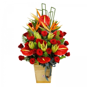 Hộp hoa chúc mừng khai trương- hồng đỏ, hồng môn, lyly, thiên điểu