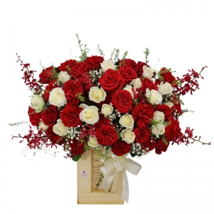  Hoa chúc mừng - hộp hoa hồng đỏ ohara , hồng trắng, lan moka, baby trắng, cỏ đồng tiền