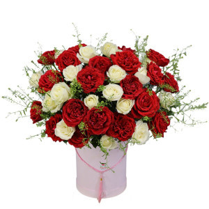 Hộp hoa chúc mừng sinh nhật -hồng ohara, hồng trắng, baby, cỏ đông tiền