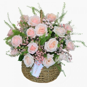 Giỏ Hoa Hồng Kem Mix Baby Cỏ Đồng Tiền