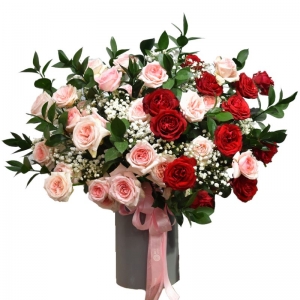 Pink Red Ohara