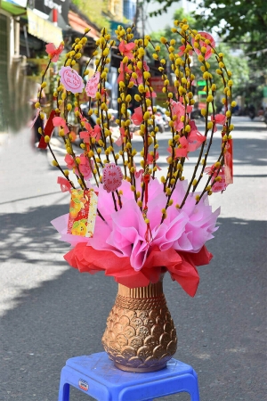 Bình nụ tầm xuân vàng 4