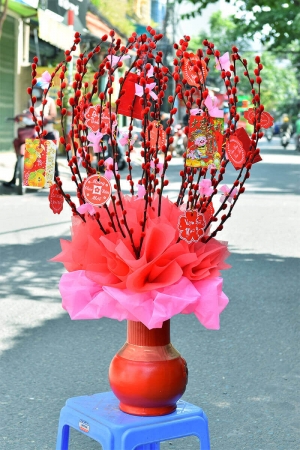 Bình nụ tầm xuân đỏ 3
