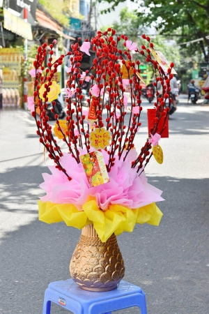 Bình nụ tầm xuân đỏ 2